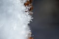 Close-up view of portions of Snow Crystals