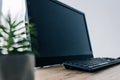 close up view of potted plant and blank computer monitor and computer keyboard