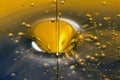 Pouring olive oil liquid Royalty Free Stock Photo