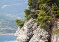 close-up view of the protruding rock in the sea in the Park Milo Royalty Free Stock Photo