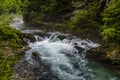 A close up view of the Radovna River flowing over rapids in the Vintgar Gorge in Slovenia Royalty Free Stock Photo