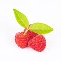 Close up view of raspberry on a white backgroun Royalty Free Stock Photo