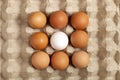 Close-up view of raw chicken eggs in a box, brown egg on green background. Royalty Free Stock Photo