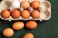 Close-up view of raw chicken eggs in box, egg white, egg brown on green background. Royalty Free Stock Photo