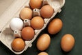 Close-up view of raw chicken eggs in grey box, egg white, brown egg on green background. Royalty Free Stock Photo