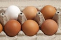 Close-up view of raw chicken eggs brown and white in a box, egg white, egg Royalty Free Stock Photo