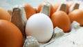 Close up view of raw chicken eggs in an egg box Royalty Free Stock Photo