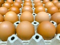 Close-up view of raw chicken eggs in egg box, Eggs from chicken farm in the package Royalty Free Stock Photo