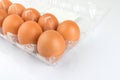 Close-up view of raw chicken eggs in egg box on white background. Royalty Free Stock Photo