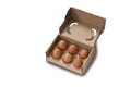 Close-up view of raw chicken eggs in egg box on white wooden background Royalty Free Stock Photo