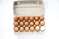 Close-up view of raw chicken eggs in egg box on white wooden background Royalty Free Stock Photo