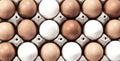 Close-up view of raw chicken eggs in egg box on white wooden background Royalty Free Stock Photo