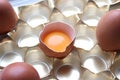 Close-up view of raw chicken eggs in egg box on white wooden background Royalty Free Stock Photo