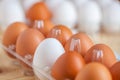 Close-up view of raw chicken eggs in egg box on wooden background Royalty Free Stock Photo