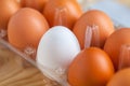 Close-up view of raw chicken eggs in egg box on wooden background Royalty Free Stock Photo