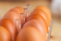 Close-up view of raw chicken eggs in egg box on wooden background Royalty Free Stock Photo