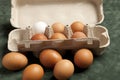 Close-up view of raw chicken eggs in grey box, egg white, brown egg on green background. Royalty Free Stock Photo