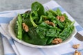 Close up view of raw spinach salad, vegetarian ingredient