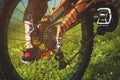 Close-up view of rear wheel cassette from mountain bike on the landscape and green grass Royalty Free Stock Photo