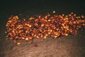 Close up view of red chili flakes on black slate background with selective focus. Crushed red cayenne pepper. Royalty Free Stock Photo