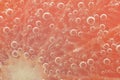 Close-up view of the red grapefruit slice in water background. Texture of cooling fruit drink with macro bubbles on the Royalty Free Stock Photo