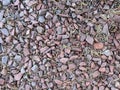 Close-up view of red and grey stone rocks ground cover with twigs and pine cones Royalty Free Stock Photo