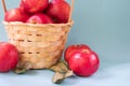 Close up view of red mature apples and basket full of apples with green leaves. Organic Royalty Free Stock Photo