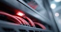 Close-up view of red network cables connected to a server rack with illuminated indicator light in a data center environment Royalty Free Stock Photo