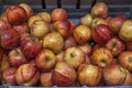 Close up view of red yellow apples on shelf of supermarket. Royalty Free Stock Photo