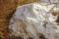 Close-up view of the remains of a melted snowdrift in a garden on a spring day.