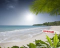 Rescue surf board on tropic beach background