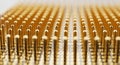 Close-up of numerous shiny gold pins on a computer processor microchip, representing advanced technology. Royalty Free Stock Photo
