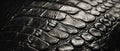 Exploring the intricate texture and strength of crocodile skin in close detail