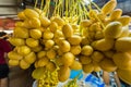A close-up view of a ripe bunch of yellow dates Royalty Free Stock Photo