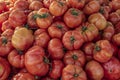 Close up view of Ripe pink Raf tomato food background. Huge tomatoes on spanish weekly marketplace