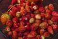 Close up view of ripe strawberries in glass bawl. Beautiful nature backgrounds. Royalty Free Stock Photo