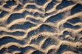 Sunlit ripples of sand on a beach with strong shadows and green leaf Royalty Free Stock Photo