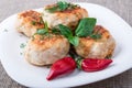 Close-Up view on rissole of minced chicken on a white plate Royalty Free Stock Photo
