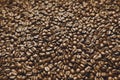 Close Up View of Roasted Coffee Beans, Top View Continuous Layer Royalty Free Stock Photo
