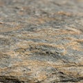 Close-up view of a rock surface with distinct, layered textures