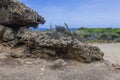 Close up view of rocks national park against backdrop of Caribbean Sea of island of Aruba. Royalty Free Stock Photo