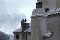 Close up view of roof covered by red tile in the snow with several chimneys. Ancient Bran Castle, also called Dracula`s Castle. Royalty Free Stock Photo