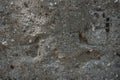 Textured Concrete Wall Background Close Up Royalty Free Stock Photo