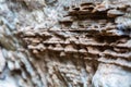 Close-up view of a rough pattern of the rocky surface - geology background