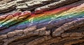 Close-up of Rough Tree Bark with a Rainbow Spectrum Light Effect wood texture Royalty Free Stock Photo