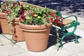 Close up view of a row of potted plants next to a city park bench Royalty Free Stock Photo