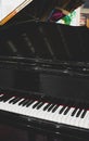 Grand piano keys Royalty Free Stock Photo