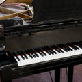 Royal grand piano keys Royalty Free Stock Photo