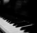 Royal grand piano keys Royalty Free Stock Photo