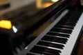 Grand piano keys Royalty Free Stock Photo